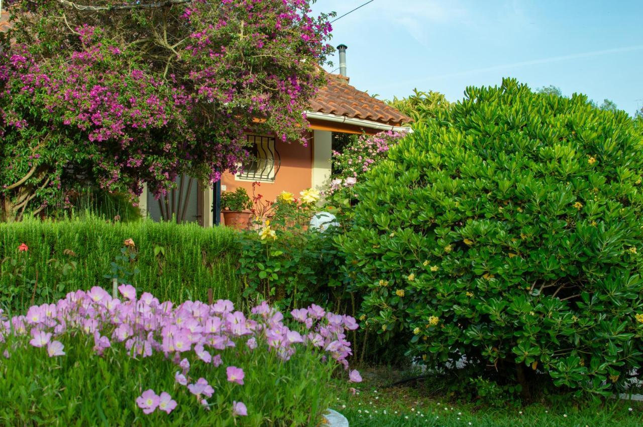 Villa Rose Garden Melíkia Esterno foto