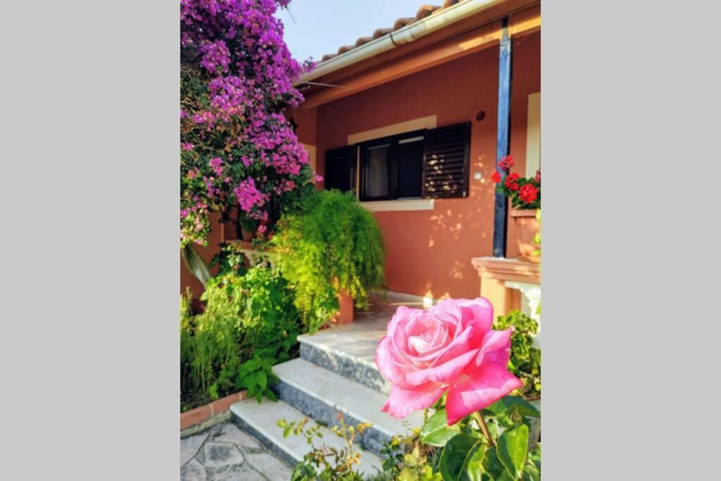 Villa Rose Garden Melíkia Esterno foto